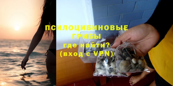 стафф Кинешма