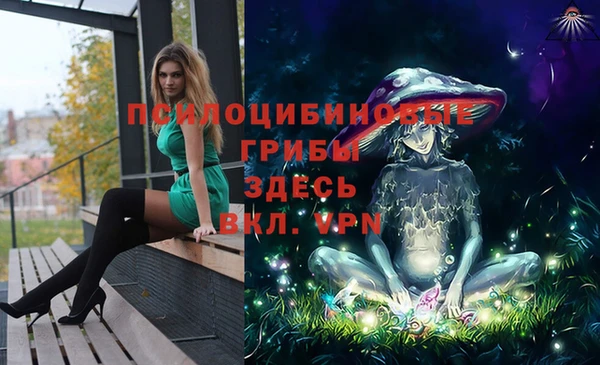 стафф Кинешма
