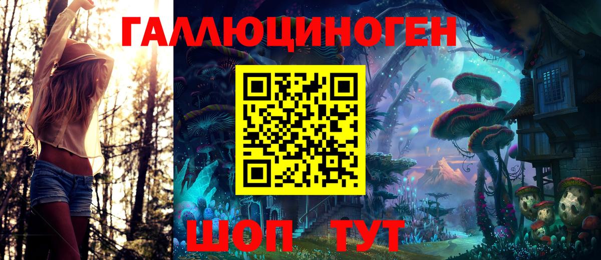 Галлюциногенные грибы Psilocybe Норильск