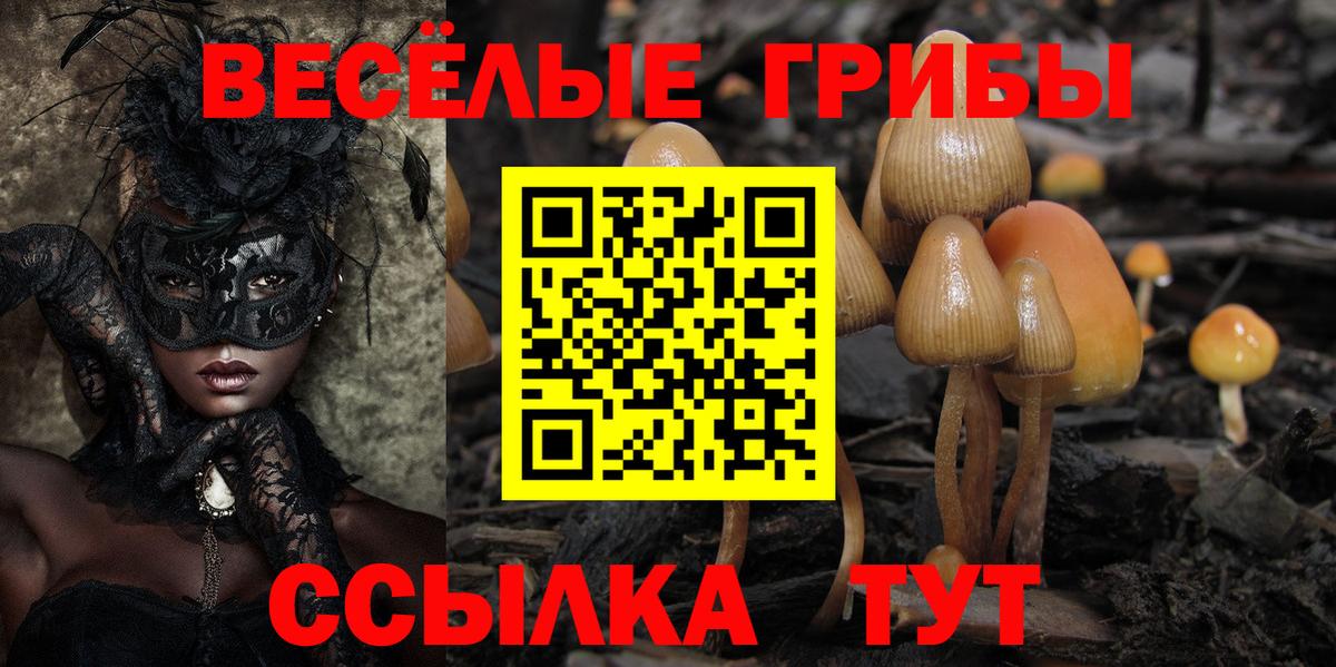 Норильск  Галлюциногенные грибы MAGIC MUSHROOMS  Вход с VPN 